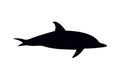 Abstract silhouette of a dolphin, great design for any purposes. Black shape silhouette sign. Isolated on a white Royalty Free Stock Photo