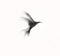 Abstract silhouette flying hummingbirds illustration Royalty Free Stock Photo