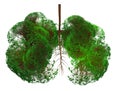Abstract silhouette of lungs made of trees with green leaves on white background. Air purification