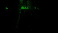 Abstract silhouette of male legs walking through the dark corridor with green glowing particles. Design. A man superhero