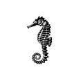 Abstract silhouette seahorse vector Royalty Free Stock Photo