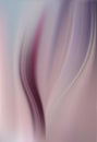 Abstract silk background with elegant waves draping. Lilac fuchsia. Elegant purple luxury soft pleats Royalty Free Stock Photo