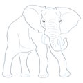 Art Handmade Drawing Elephant Royalty Free Stock Photo