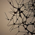 Branches Or Thorns With Nodal, Nervous System Appearance, Abstract