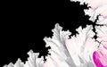 Abstract Simple Fractal frame design in white and pink colors.