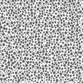 abstract simple seamless pattern many small dots spots on a contrasting background. Leopard background white and grey