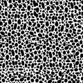 abstract simple seamless vector pattern many small dots spots on a contrasting background. Leopard background Royalty Free Stock Photo