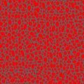 abstract simple seamless vector pattern many small red dots spots on a grey background. Leopard background Royalty Free Stock Photo