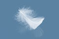 Abstract Single White Bird Feather Falling with Reflection. Swan Feather on Blue Background. Royalty Free Stock Photo