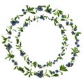 Abstract Sloe Berry Wreath Royalty Free Stock Photo