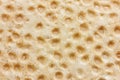 Abstract small loafs of bread background Royalty Free Stock Photo