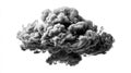 Abstract smoke cloud against a bright white background. Royalty Free Stock Photo