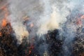 Abstract smoke fire and ash background. Burn dry gras and twig Royalty Free Stock Photo