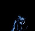 Abstract smoke of joss stickon black Royalty Free Stock Photo