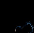 Smoke of joss stickon black background Royalty Free Stock Photo