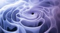 Abstract Smoke Rings Creating Organic Patterns and Shapes Royalty Free Stock Photo