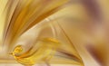 Abstract smooth yellow gold folds Royalty Free Stock Photo