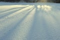 Abstract Snow detail, pattern. Straight lines of blue long shadows of trees on the white untouched fresh snow.