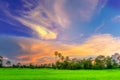 Abstract soft blurred and soft focus silhouette of the sunset with the green paddy rice field, the beautiful sky and cloud in the Royalty Free Stock Photo