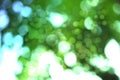 Abstract soft bokeh circle blue and green beauty light background.twinkle flare bright shinny soft space. no people