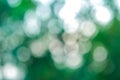 Abstract soft bokeh circle white and green light background. circle blur and defocus shine soft light and bright reflect. no peopl Royalty Free Stock Photo