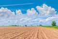 Abstract soft focus the plowing,tillage, picking, tillage, plant Royalty Free Stock Photo