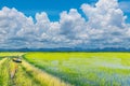 Abstract soft focus semi silhouette the bicycle on the the earthen grass road,green paddy rice field with the beautiful sky a Royalty Free Stock Photo