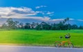 Abstract soft focus semi silhouette the bicycle,green paddy rice Royalty Free Stock Photo