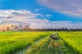 Abstract soft focus semi silhouette the bicycle,green paddy rice field with the beautiful sky and cloud in the evening in Thailand Royalty Free Stock Photo