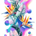 Abstract soft gradient blur, colorful fluid and geometric shapes, watercolor palm drawing.