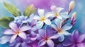 The abstract soft sweet blue purple flower background from Plumeria frangipani