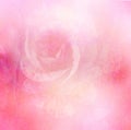 Abstract soft tone rose flower background