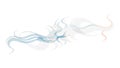 Abstract Soft Wavy Lines Subtle Flow Background, vector design Generative AI Royalty Free Stock Photo