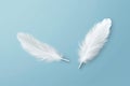 Abstract wing white animal copy background soft bird space feathers pattern nature fluffy blue