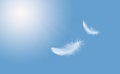 Abstract Softness of White Bird Feather Floating in Blue Sky. Feathers Flying in Heavenly.