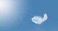 Abstract Softness of White Bird Feather Floating in Blue Sky. Feathers Flying in Heavenly.