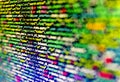 Abstract software developer programming code. Screen of web developing php code on dark background. Binary computer code Royalty Free Stock Photo
