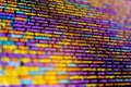 Abstract source code background. Developing programming binary code. Monitor closeup of function source code. Computing, Royalty Free Stock Photo