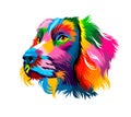 Abstract spaniel dog head portrait from multicolored paints. Dog muzzle Royalty Free Stock Photo