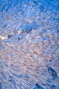 Abstract sparkling patterns from water on a frost Royalty Free Stock Photo