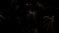 Abstract sparks of fireworks are randomly carried away in space. Close-up. Bokeh lights in the night sky. Celebrant. 3d. 4K.