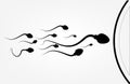 Abstract sperm icon, sperm icon and sperm vector that runs towards the egg. On a white background, competition concept