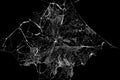Abstract Spiderweb on black background Royalty Free Stock Photo