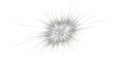 Abstract spiky starburst explosion of silver and white threads isolated on white background Royalty Free Stock Photo