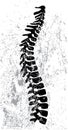 Abstract spine design