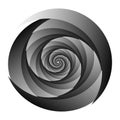 Abstract spiral, swirl, twirl design element. Curlicue, rotating shape. Volute, vortex, helix element