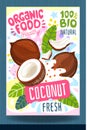 Abstract splash Food label template. Colorful brush stroke. Nuts, vegetables, herbs, spices, package design. Coconut