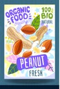 Abstract splash Food label template. Colorful brush stroke. Nuts, vegetables, herbs, spices, package design. Peanut