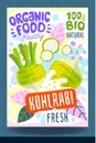 Abstract splash Food label template. Colorful brush stroke. Vegetables, fruits, spices, package design. Kohlrabi, slice