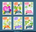 Abstract splash Food label template. Vegetables, fruits, spices, package design. parsley, cauliflower, cabbage, daikon